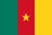 Cameroon's flag